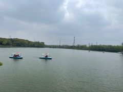 -昆山城市生态森林公园