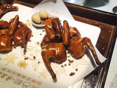 -院8里·小聚园老川菜(九眼桥店)