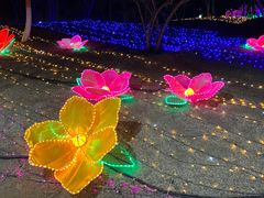 -青龙湖公园