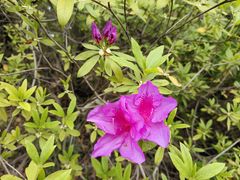 -上海市龙华烈士陵园