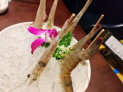 -江南福宴·澳门海鲜.牛肉火锅(汇高栢悦中心店)