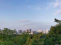 -聚龙山公园