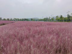 -临平南高铁站(地铁站)