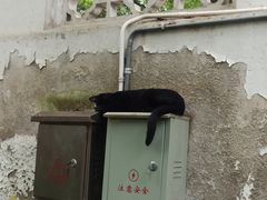 -西园戒幢律寺