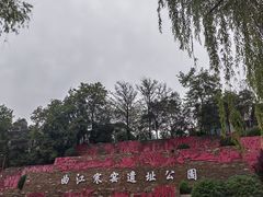 -西安曲江寒窑遗址公园