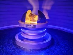 -吉林市博物馆