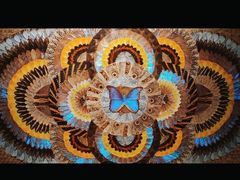 -上海昆虫博物馆