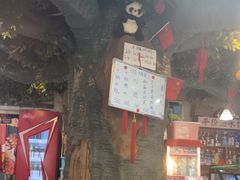 -金三可市井水煮鱼(金碧园店)