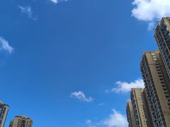 -LINLEE林里·手打柠檬茶(龙岗深铁汇里店)