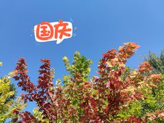 -龙庆峡风景区