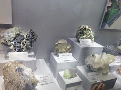 -湖南省地质博物馆