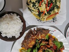 -煲来饱去冷水鱼
