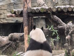 -宁波野生动物园