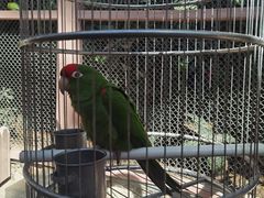 -南宫五洲植物乐园