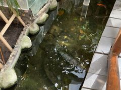 -上海大自然野生昆虫馆(东方明珠·爬宠昆虫探索中心)
