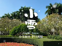-金花茶公园