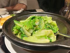 XO酱焗生菜-新花城蟹粉馆(乌鲁木齐店)