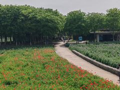 -江苏三台山国家森林公园