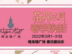 -梅龙镇广场