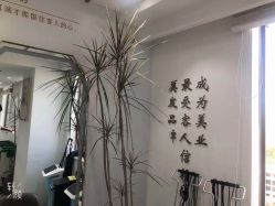 -镁连社·美联社