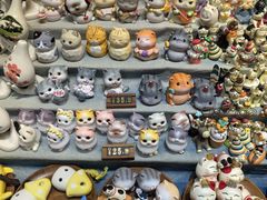 -猫咪博物馆(顶澳仔猫街店)