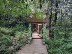 -大岭沟猕猴桃谷风景区