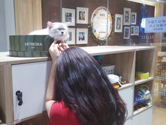 -藏猫猫咖啡主题馆(中央大道店)