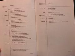 -新加坡航空公司(ION)