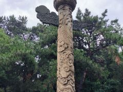 -北陵公园