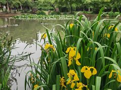 -洛阳市隋唐城遗址植物园