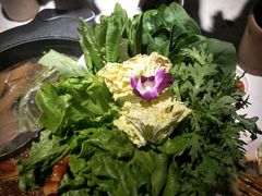 -川西坝子(老军营店)