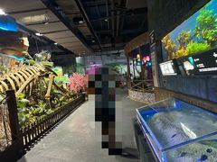 -顺德南宏海立方海洋公园