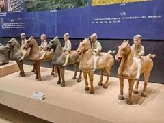 -广西壮族自治区博物馆