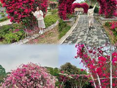 -东莞植物园