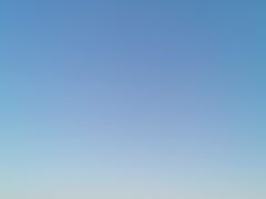 -奉贤海滩
