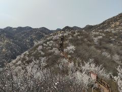 -大岭沟猕猴桃谷风景区