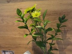 -春暖花开(西溪店)