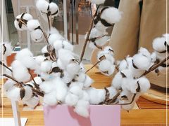 -Purcotton全棉时代(中航城天虹购物中心)