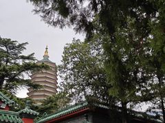 -八大处公园