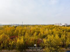 -天通西苑三区