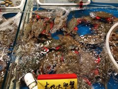 -旺角小渔村·海肠捞饭开创者(环山路店)