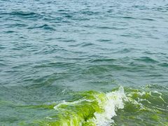 -日照灯塔风景区