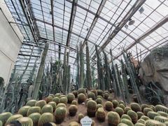 -南山植物园