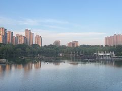 -桐乡植物园