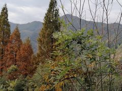 -太湖源风景区