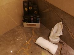 -苏州金鸡湖文博诺富特酒店