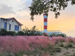 -上海山野camping·户外天幕烧烤·团建拓展营地