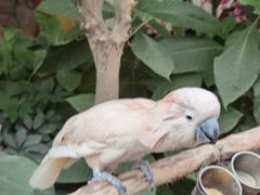 -南宫五洲植物乐园