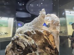 -安徽省地质博物馆