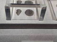 -中国钱币博物馆